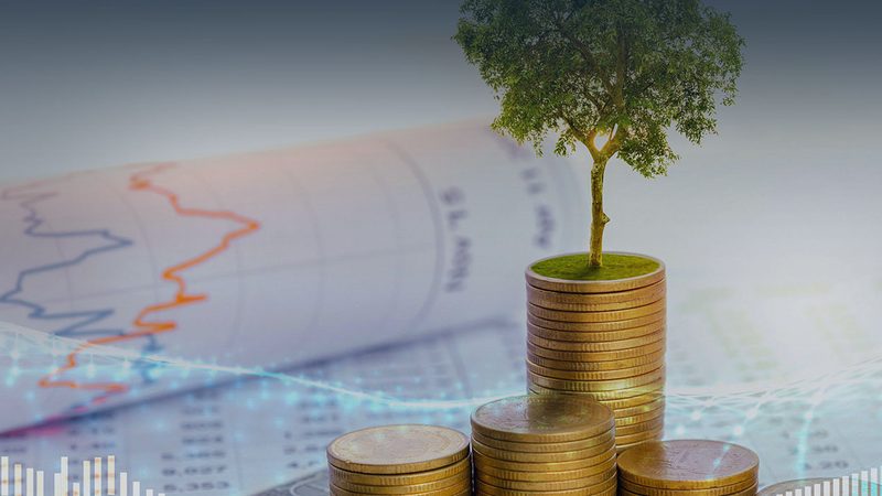 政府立项可行性研究报告，价格如何界定？**